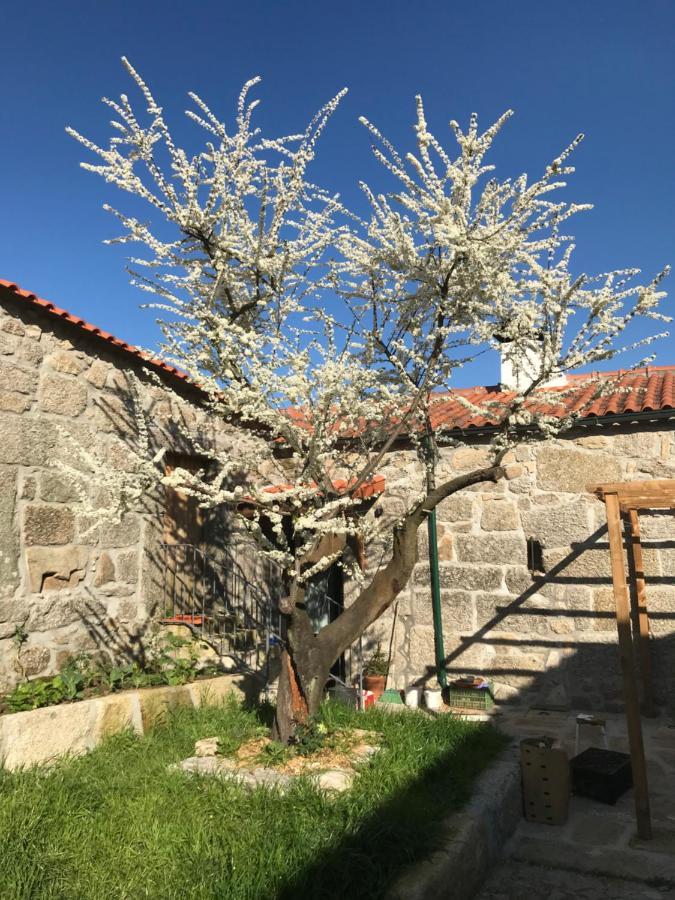 Quinta Do Pinheiro Villa Guimarães Exterior foto