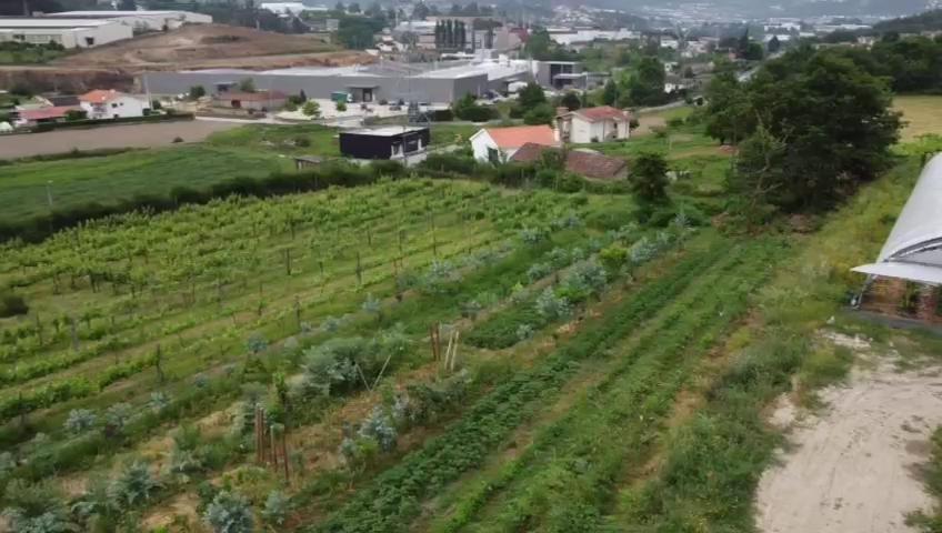 Quinta Do Pinheiro Villa Guimarães Exterior foto